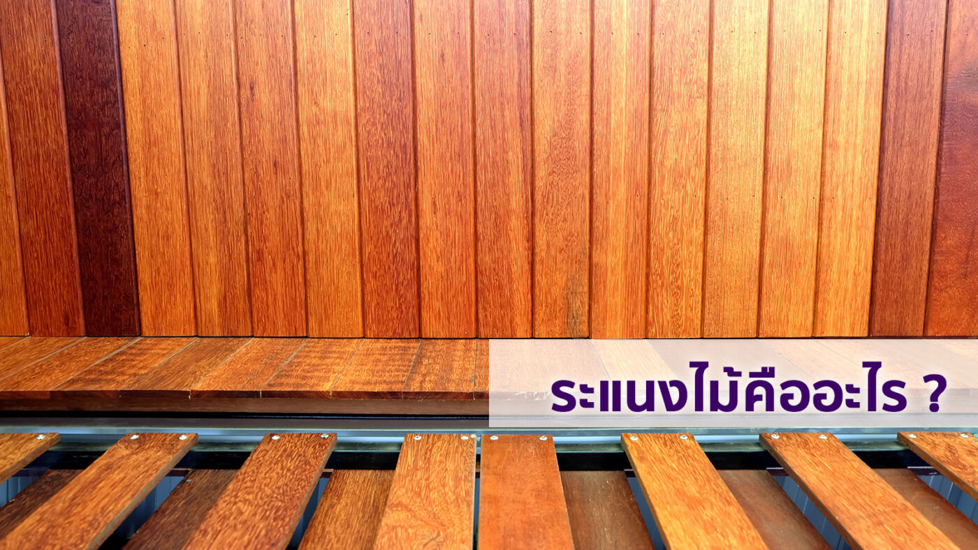 5 ประโยชน์ของระแนงไม้ ที่จะช่วยเพิ่มความน่าอยู่ให้กับบ้านของคุณ ...